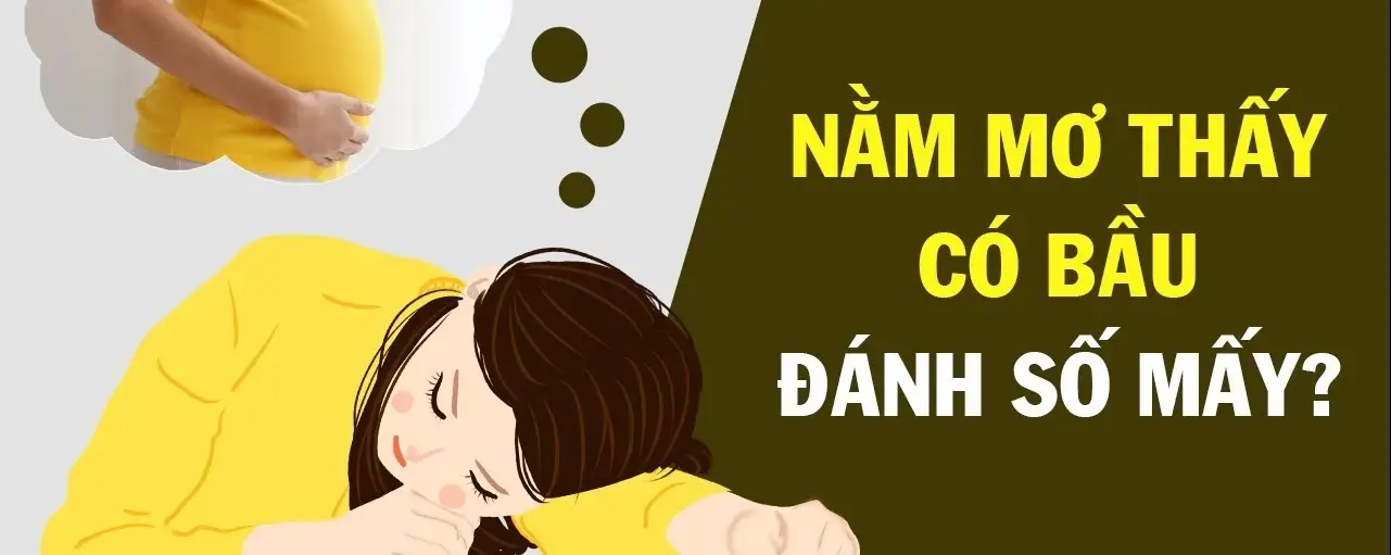Mơ Thấy Có Bầu Đánh Đề Con Gì - Giải Mã Giấc Mơ Con Số May Mắn
